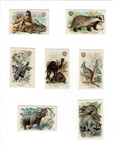 Lot of 12 Arm & Hammer Interesting Animals Church & Co. - Picture 1 of 4