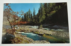 The Perfect Spot Mountain River Nature Postcard Color By Mike Roberts C21023G - Picture 1 of 2