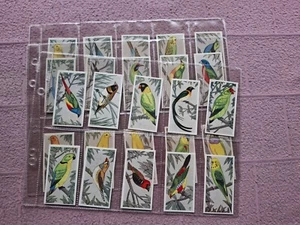 COMPLETE SET - BARRATT - CAGE & AVIARY BIRDS VG a few GD - Picture 1 of 4