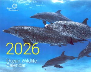 2026 Ocean Wildlife 16 Month Wall Calendar Dolphins Polar Bear Penguin Starfish - Picture 1 of 3