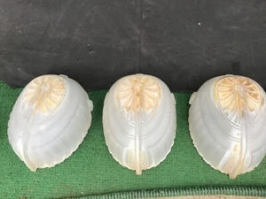 OLD Set Of 3 slip shades from estate - Picture 1 of 3