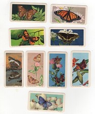 1965 Brooke Bond Red Rose Tea BUTTERFLIES of North America lot of 9 Series 8