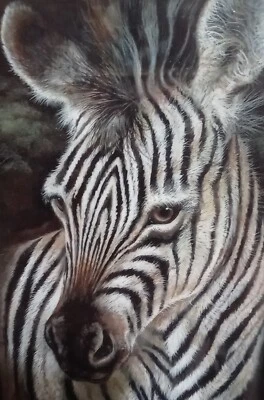 Zebra Framed Ruane Manning "Young & Curious"  15" x 9" "Stripped Innocence" USA  - Image 1 of 4