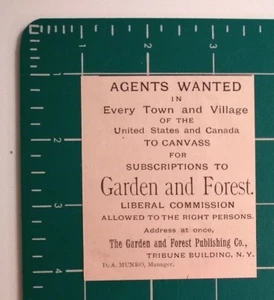 1881 Garden and Forest Publishing Co. Werbung New York - Bild 1 von 1