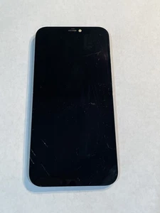 Apple iPhone 12/12 Pro OLED LCD Repuesto Pantalla Digitalizador Fabricante de Equipo Original USADO - Imagen 1 de 9