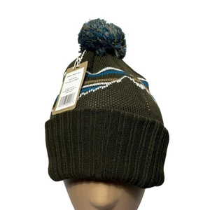 Patagonia Kid's Unsex Green Powder Town Beanie - Picture 1 of 11