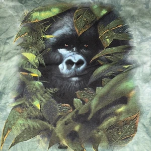 Camiseta De Colección The Mountain Niños Unisex Gorila Jungle Vida Silvestre Gráfica M LEER*** - Imagen 1 de 11