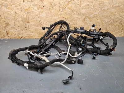 Arnés telar cableado motor Land Rover Discovery Sport L550 2.0D ingenium Foto 1 de 4