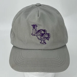 Vintage 90er 80er Snapback LCF Mütze - grau Retro Baseball Cap sehr guter Zustand - Made in USA - Bild 1 von 12