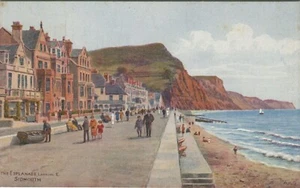 THE ESPLANADE, LOOKING EAST, SIDMOUTH, DEVON, A R QUINTON -Art Postcard J Salmon - Foto 1 di 2