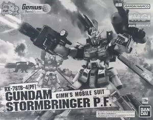 MG 1/100 Gundam Stormbringer P.F. Build Divers Model Kit Premium Bandai JAPAN FS - Picture 1 of 10
