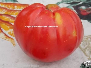20 Giant Belgium Heirloom Tomato Seeds"Plus 2 Packs of Vegetable Seeds - Picture 1 of 3