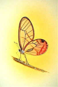 Beautiful Butterfly Postage Stamp Original Acrylic Art Painting on Paper Rundo - Picture 1 of 4