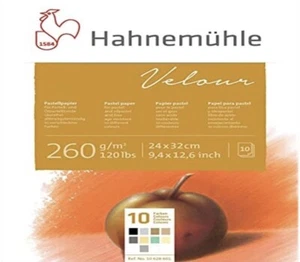 Hahnemuhle Pastel 10 Color Velour Pad 24x32 cm Inches 260gsm 10 Sheets - Picture 1 of 4