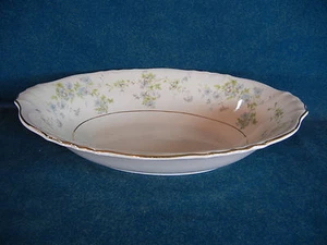 Syracuse China Mayview Oval 10 5/8" Vegetable Serving Bowl - Picture 1 of 3