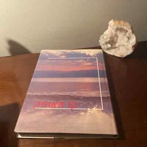 1990 Book Skyline in HEBREW Duby Tal Moni Haramati 1993 Printing Israel קו האופק - Picture 1 of 8