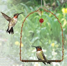 Songbird Essentials Sehhhums Copper Hummingbird Swing Set of 1