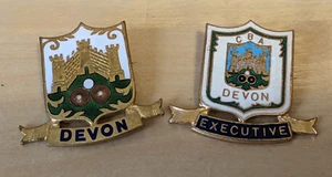 x 2 Devon Bowling Club England Vintage Enamel Pin Badges - CBA Executive - Picture 1 of 2