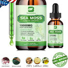 60Ml Sea Moss - Liquid Drops 10000Mg Per Serving With Burdock Root Supplement~
