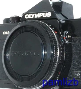 Olympus OM 35mm SLR film Camera fit protective body cap , new replacement - Picture 1 of 1