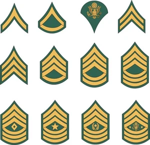 Juego completo de pegatinas de insignia de rango alistado del ejército - Imagen 1 de 1