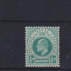 NATAL , 1904, SG146 TY31 1/2d BLUE-GREEN, MH CV £12+ - Picture 1 of 1