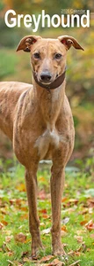 Calendario Greyhound Slim 2026 | Regalo razza cane slimline sconto 15% su più ordini - Foto 1 di 8