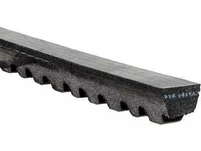 Accesorio correa de transmisión para Chevrolet Corvette 1968-1969 AC Delco 31339JFFB Foto 1 de 2