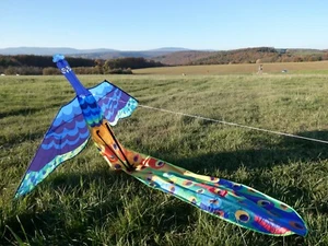 Lagerräumung Flugdrachen Drachen Pfau - Bild 1 von 3