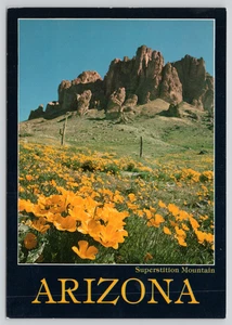 Postcard Yellow California Poppies Superstition Mountain Arizona Marsha Merrick - Picture 1 of 2