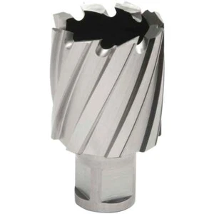 Hougen 12333 33MM X 25MM "12,000-Series" Annular Cutter - Picture 1 of 1