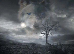 Grey Wolf Trailer RV Graphic Mural Decal  Sticker Fit Wall Camper Motorhome - Picture 1 of 1