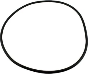 Waterway 805-0000 Crystal Water O-Ring - Picture 1 of 1
