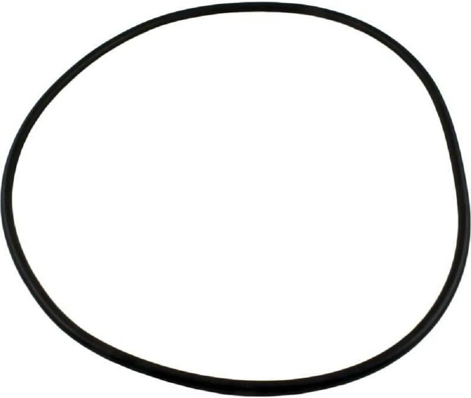 Waterway 805-0000 Crystal Water O-Ring - Image 1 of 1