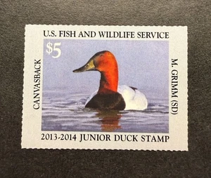 Estampillas WTD - #JDS21 2013 - Estampilla de pato junior de Estados Unidos - Como nueva OG NH - Imagen 1 de 2