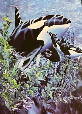 8lb Heavyweight Soft Queen Blanket, Officially Licensed, Killer Whale Orca Throw - Image 1 of 3