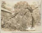1973 Press Photo Fallen tree in front of a house in Charlotte, after tornado