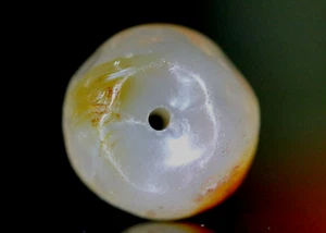 Bactrian Period Agate Stone Bead, Striped 15mm - Balkh Afghanistan Antique - Picture 1 of 4