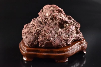 U8860: Cultura de piedra japonesa o pasatiempo de ver piedra en interiores, bonsái con bandeja Foto 1 de 4