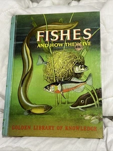 Vintage Book Fishes And How They Live by George S Fichter Golden Press 1960 BS2 - Foto 1 di 12