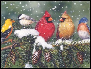 Greeting Card - Bird Birds - William Vanderdasson - Leanin' Tree Christmas 0200