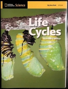 Life Cycles - Picture 1 of 1