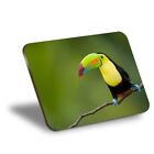 Placemat Cork 290X215 - Colourful Toucan Bird Birds Animals #8744