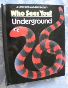 WHO SEES YOU? AT NIGHT ~ (A LITTLE POP-AND-PEEK BOOK) ~By Carla Dijs ~ Hardcover - Imagen 1 de 8