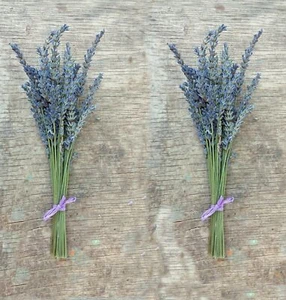 Small Lavender Bundles (Lavender Grosso) - 4" to 6" L - Bild 1 von 3