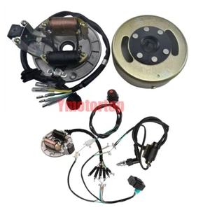 Magneto Stator Flywheel Rotor 2 Coil Wiring Harness For Go Kart Dirt Bike ATV - Picture 1 of 4