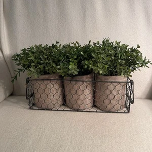 Home Decor 3 Potted Faux Boxwoods In Metal/ Wire Basket - Picture 1 of 4