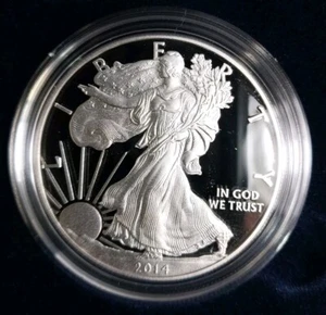 2014-W Proof Silver Dollar American Eagle un'oncia - .999 fine con OGP COA - Foto 1 di 5