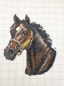 Cabeza de caballo punto de cruz contada completa sin marco 10" x 8" Western Country - Imagen 1 de 3