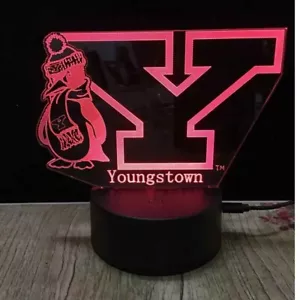 YSU Youngstown State u Ohio Nacht 3D Lampe WEIHNACHTSGESCHENK Pete er Pinguin - Bild 1 von 1